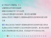 新教材2023_2024学年高中化学第4章生物大分子第3节核酸分层作业课件新人教版选择性必修3