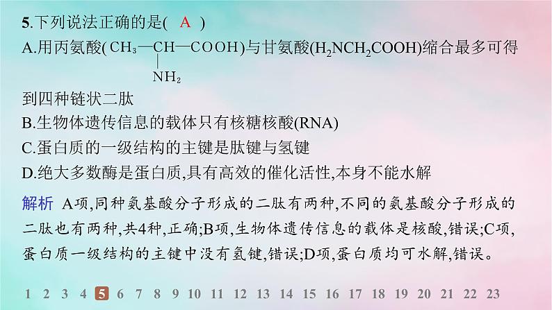 新教材2023_2024学年高中化学第4章生物大分子第3节核酸分层作业课件新人教版选择性必修3第6页