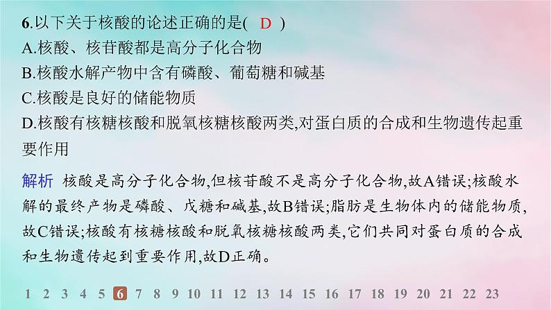 新教材2023_2024学年高中化学第4章生物大分子第3节核酸分层作业课件新人教版选择性必修3第7页