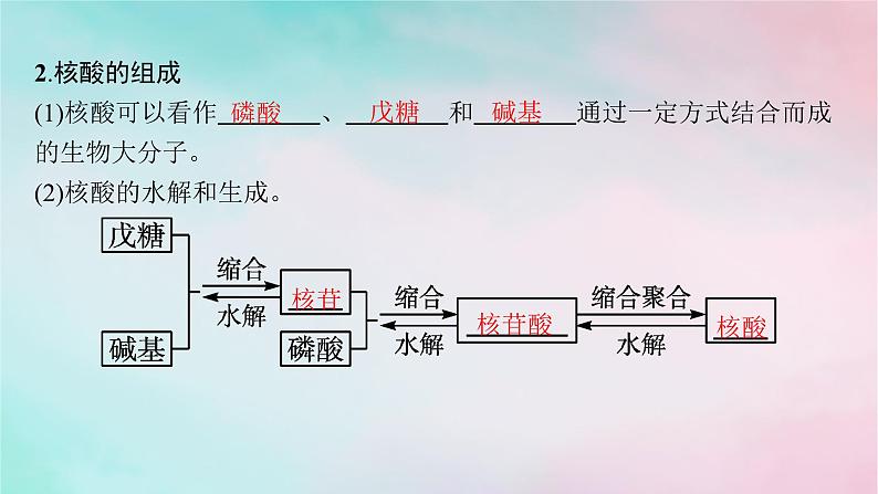 新教材2023_2024学年高中化学第4章生物大分子第3节核酸课件新人教版选择性必修3第6页