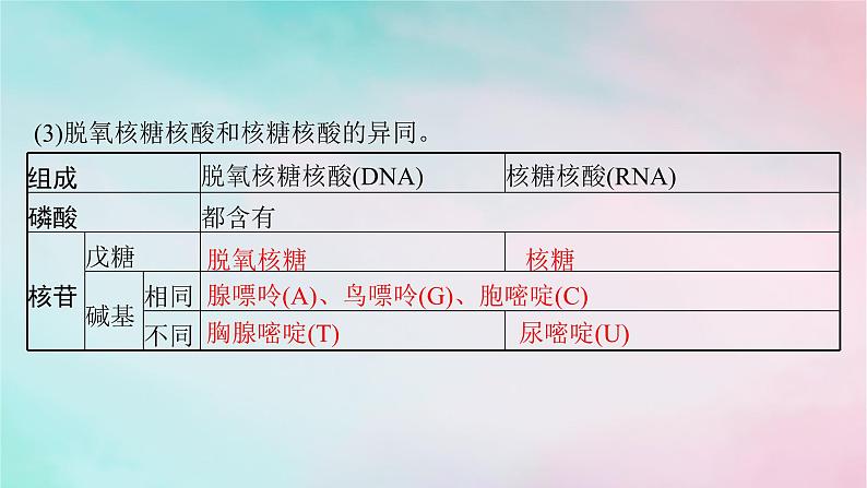 新教材2023_2024学年高中化学第4章生物大分子第3节核酸课件新人教版选择性必修3第7页