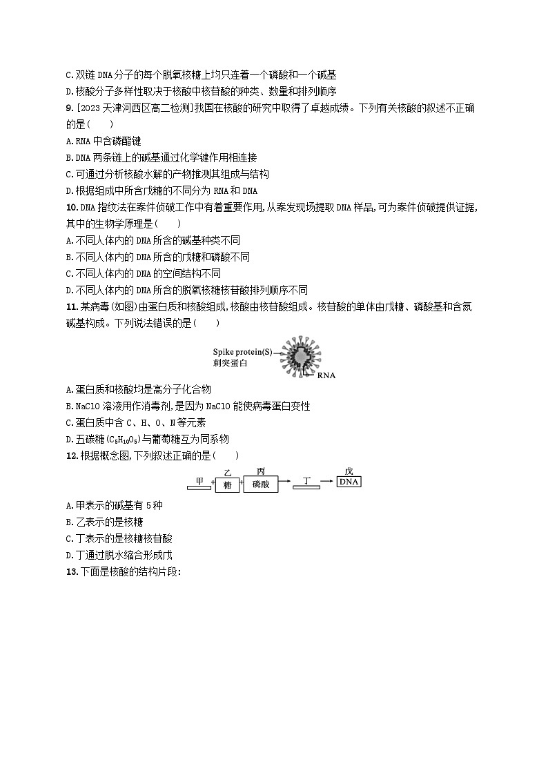 新教材2023_2024学年高中化学第4章生物大分子第3节核酸分层作业新人教版选择性必修3第2页