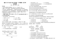 江西省抚州市临川区第十六中学2023-2024学年高一上学期10月月考化学试题