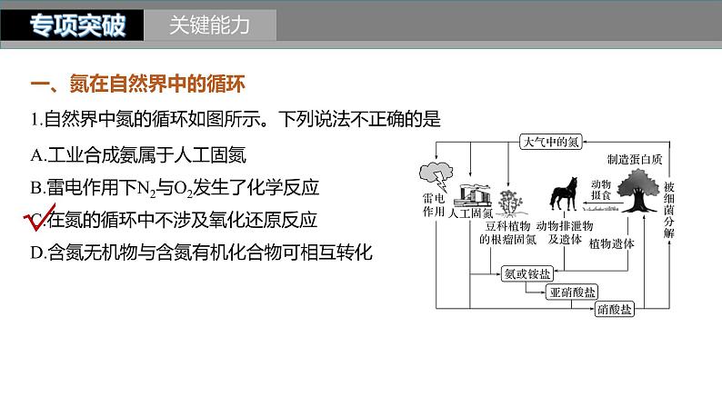 新高考化学一轮复习精品课件 第5章 第27讲　氮及其化合物的转化关系 (含解析)05