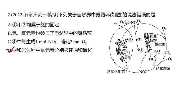 新高考化学一轮复习精品课件 第5章 第27讲　氮及其化合物的转化关系 (含解析)07