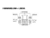 新高考化学一轮复习精品课件 第7章 第42讲　电解池　金属的腐蚀与防护 (含解析)