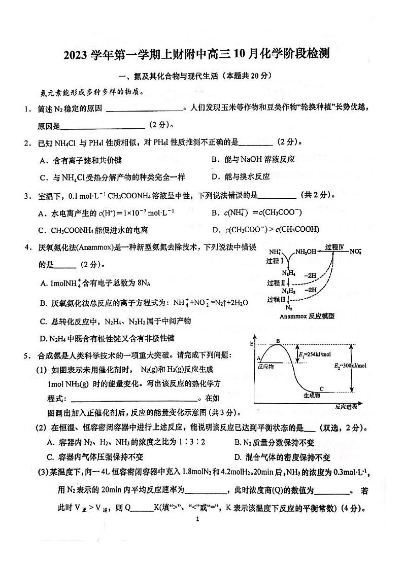 上海财经大学附中2023-2024学年高三上学期10月阶段检测 化学试题第1页