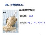 5.4用化學(xué)沉淀法去除粗鹽中的雜質(zhì)離子課件2022-2023學(xué)年下學(xué)期高一化學(xué)人教版（2019）必修第二冊(cè)