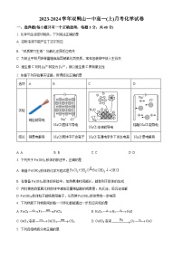 2024省双鸭山一中高一上学期10月月考试题化学含解析