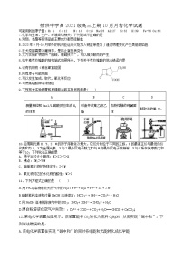 四川省射洪中学2024届高三化学上学期10月月考试题（Word版附答案）