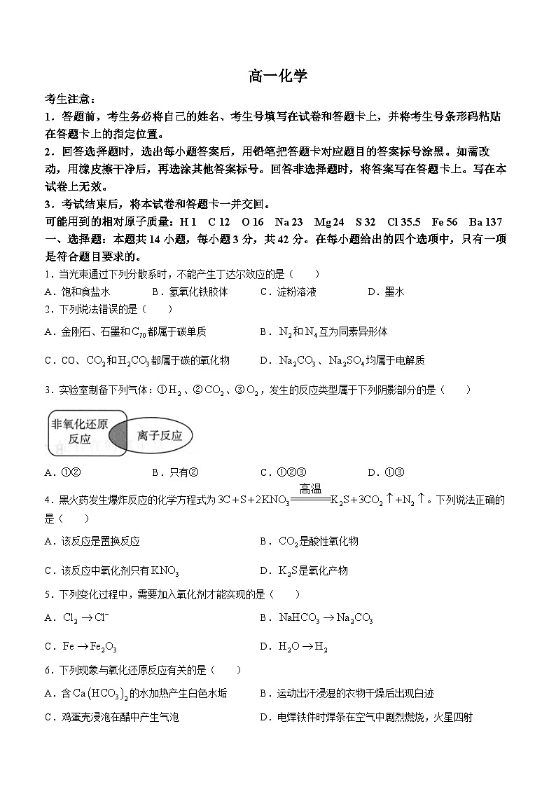湖南省郴州市第一中学2023-2024学年高一上学期10月月考化学试题01
