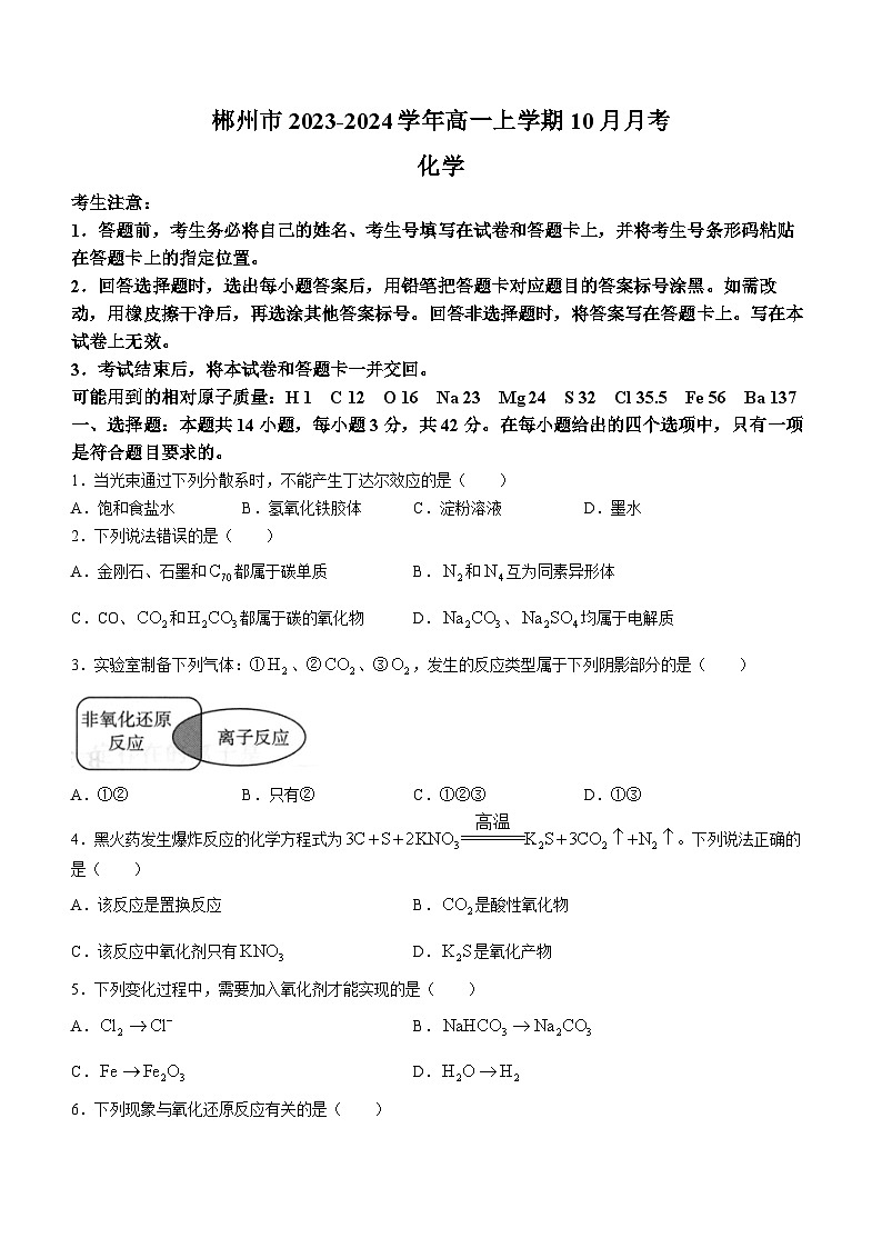 湖南省郴州市2023-2024学年高一上学期10月月考化学试题（Word版含答案）第1页