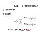 2024届高考化学一轮复习 第三章 金属及其化合物 第2讲 铁及其化合物课件PPT