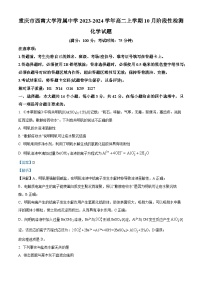 重庆市西南大学附属中学2023-2024学年高二化学上学期10月阶段性试题（Word版附解析）