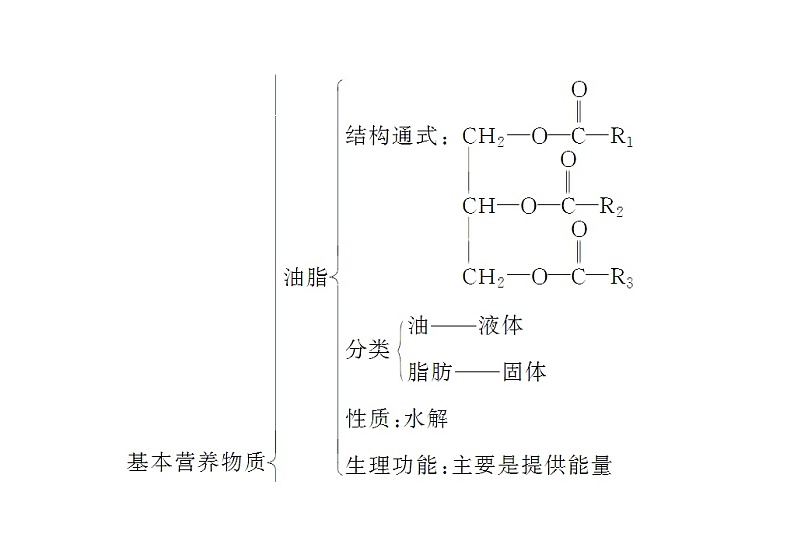 2022年高二化学选修1寒假学案：01关注营养平衡第2页
