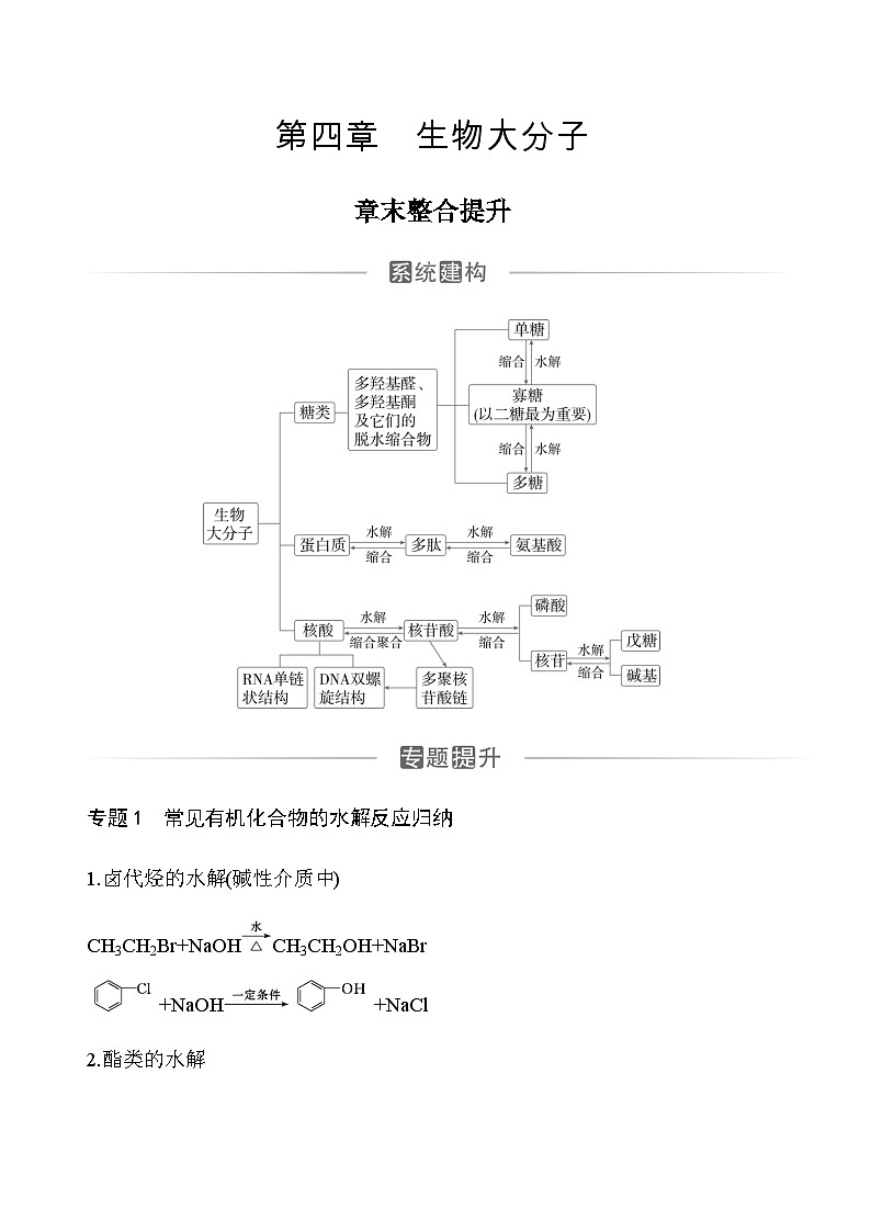 人教版高中化学选择性必修3第四章章末整合提升练含答案第1页