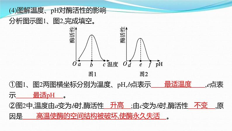 新高考生物一轮复习讲练课件：第7讲　降低化学反应活化能的酶（含解析）07