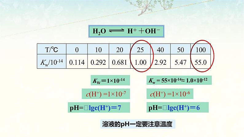 3.2.2   溶液的酸碱性与pH的计算课件2023-2024学年上学期高二化学人教版（2019）选择性必修1第8页