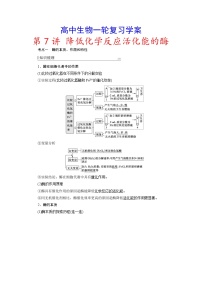 新高考生物一轮复习学案：第7讲　降低化学反应活化能的酶（含解析）