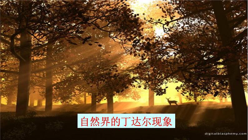 1.3.1常见的分散系胶体课件2023-2024学年高一上学期化学人教版（2019）必修第一册+第2页