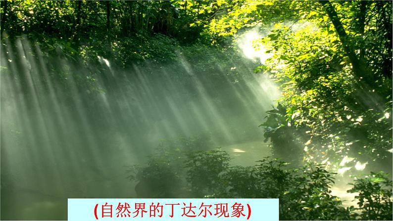 1.3.1常见的分散系胶体课件2023-2024学年高一上学期化学人教版（2019）必修第一册+第3页
