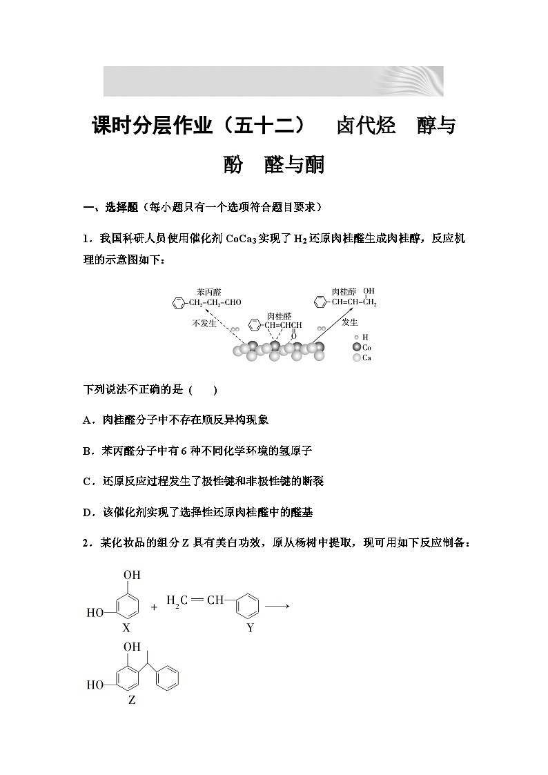 2024届高考化学一轮复习 课时分层作业52　卤代烃　醇与酚　醛与酮  （含答案）第1页