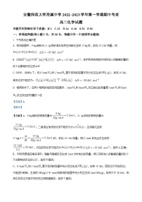 安徽师范大学附属中学2022-2023学年高二化学上学期期中试题（Word版附解析）