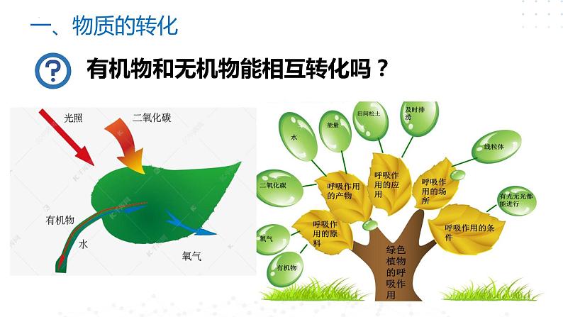 1.2 物质的转化及化学反应的分类-2023-2024学年高一化学苏教版（2019）必修第一册 课件07