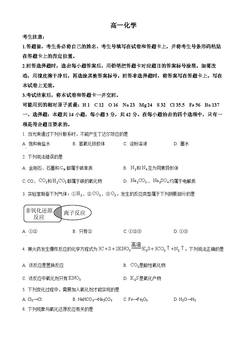 湖南省郴州市第一中学2023-2024学年高一上学期10月月考化学试题（原卷版）第1页