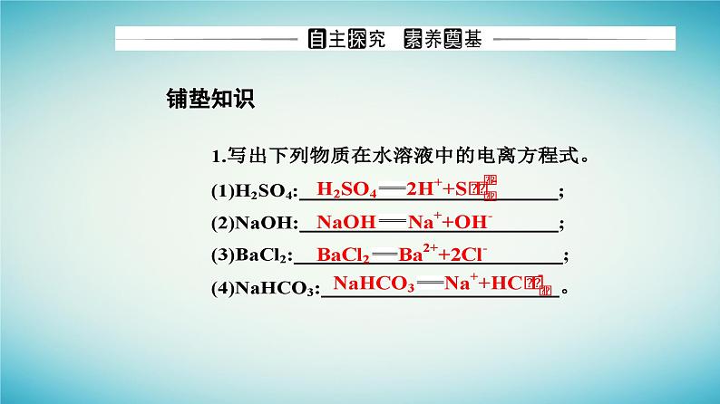 2023_2024学年新教材高中化学第一章物质及其变化第二节离子反应课时2离子反应课件新人教版必修第一册03