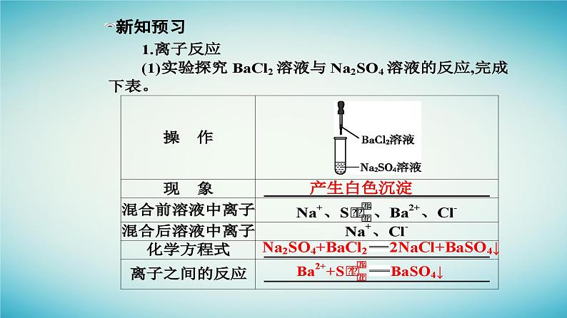 2023_2024学年新教材高中化学第一章物质及其变化第二节离子反应课时2离子反应课件新人教版必修第一册05