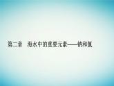 2023_2024学年新教材高中化学第二章海水中的重要元素__钠和氯第一节钠及其化合物课时2钠的几种化合物课件新人教版必修第一册