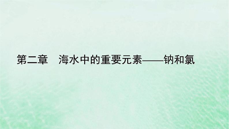 新教材适用2023_2024学年高中化学第2章海水中的重要元素__钠和氯第1节钠及其化合物第3课时碳酸钠和碳酸氢钠焰色试验课件新人教版必修第一册第1页