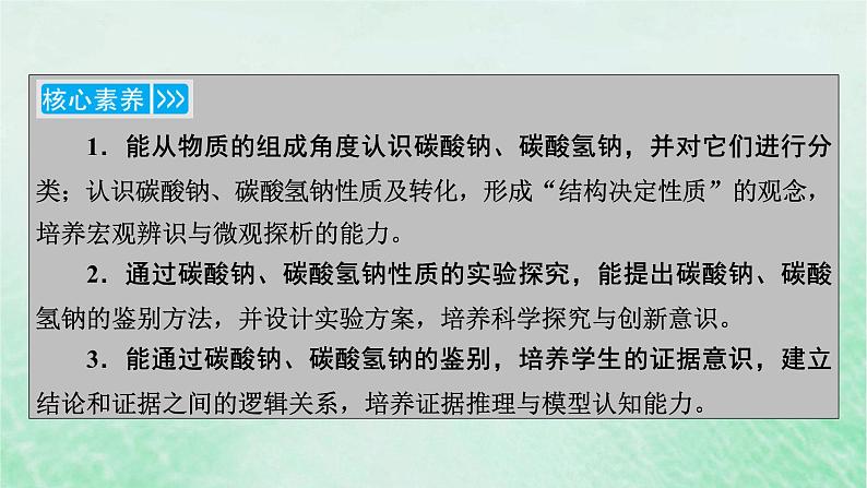 新教材适用2023_2024学年高中化学第2章海水中的重要元素__钠和氯第1节钠及其化合物第3课时碳酸钠和碳酸氢钠焰色试验课件新人教版必修第一册第4页