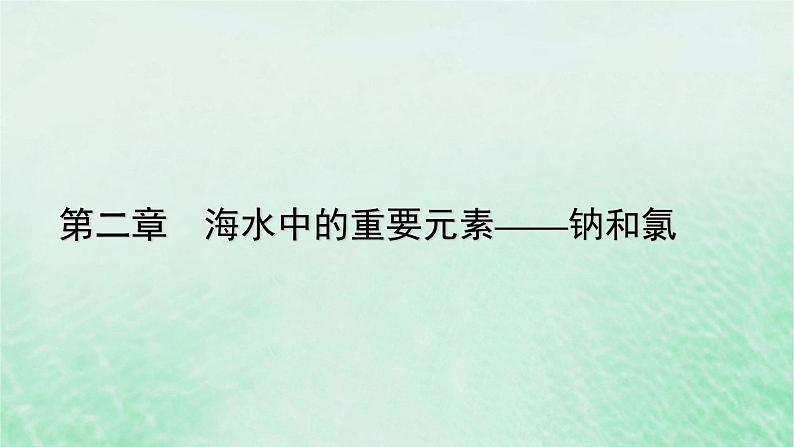 新教材适用2023_2024学年高中化学第2章海水中的重要元素__钠和氯第2节氯及其化合物第2课时氯气与碱的反应氯离子的检验课件新人教版必修第一册第1页