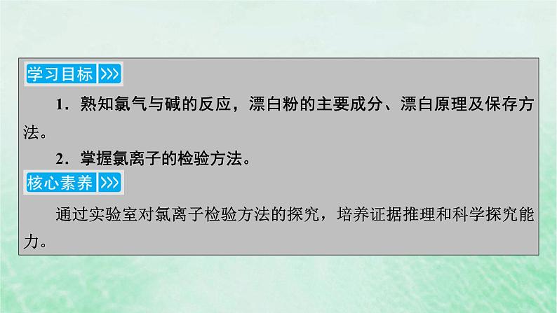 新教材适用2023_2024学年高中化学第2章海水中的重要元素__钠和氯第2节氯及其化合物第2课时氯气与碱的反应氯离子的检验课件新人教版必修第一册第3页