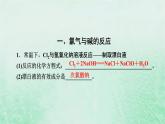 新教材适用2023_2024学年高中化学第2章海水中的重要元素__钠和氯第2节氯及其化合物第2课时氯气与碱的反应氯离子的检验课件新人教版必修第一册