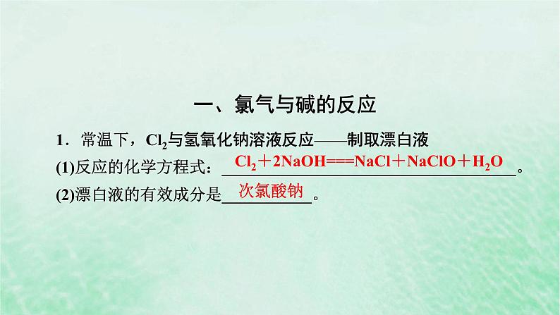 新教材适用2023_2024学年高中化学第2章海水中的重要元素__钠和氯第2节氯及其化合物第2课时氯气与碱的反应氯离子的检验课件新人教版必修第一册第4页