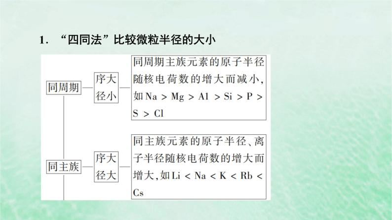 新教材适用2023_2024学年高中化学第4章物质结构元素周期律微专题6微粒半径大小的比较课件新人教版必修第一册03