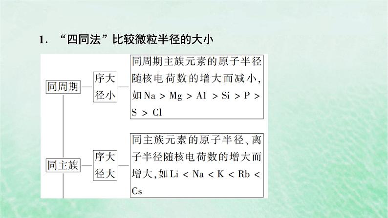 新教材适用2023_2024学年高中化学第4章物质结构元素周期律微专题6微粒半径大小的比较课件新人教版必修第一册第3页