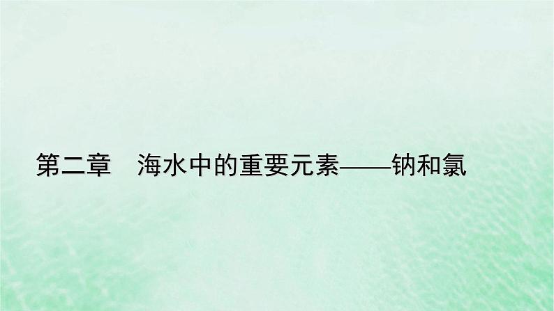 新教材适用2023_2024学年高中化学第2章海水中的重要元素__钠和氯微专题3阿伏加德罗常数的考查课件新人教版必修第一册第1页