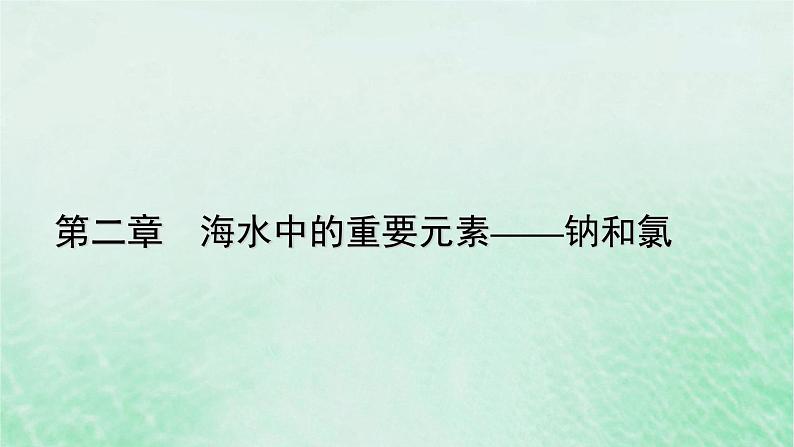 新教材适用2023_2024学年高中化学第2章海水中的重要元素__钠和氯阶段重点突破练3课件新人教版必修第一册第1页