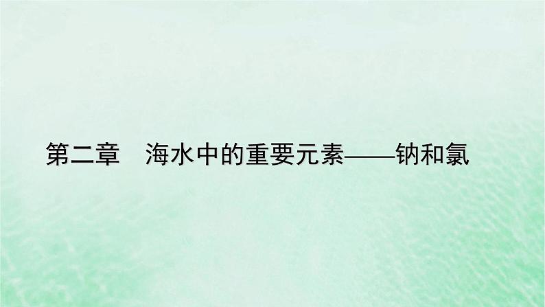 新教材适用2023_2024学年高中化学第2章海水中的重要元素__钠和氯阶段重点突破练4课件新人教版必修第一册第1页