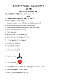 【期中真题】重庆市育才中学校2022-2023学年高三上学期期中考试化学试题.zip