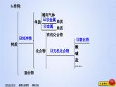第一章++第一节++物质的分类及转化++第1课时课件2023-2024学年高一上学期化学人教版（2019）必修第一册