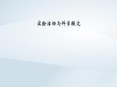 新教材2023年高中化学第5章化工生产中的重要非金属元素实验活动与科学探究课件新人教版必修第二册