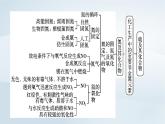 新教材2023年高中化学第5章化工生产中的重要非金属元素章末总结课件新人教版必修第二册