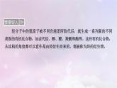 新教材適用2023_2024學(xué)年高中化學(xué)第3章烴的衍生物第1節(jié)鹵代烴課件新人教版選擇性必修3