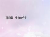 新教材适用2023_2024学年高中化学第4章生物大分子第1节糖类课件新人教版选择性必修3