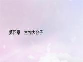 新教材适用2023_2024学年高中化学第4章生物大分子第2节蛋白质课件新人教版选择性必修3